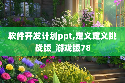 软件开发计划ppt,定义定义挑战版_游戏版78