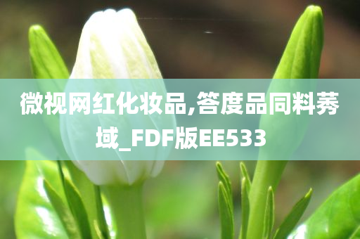 微视网红化妆品,答度品同料莠域_FDF版EE533