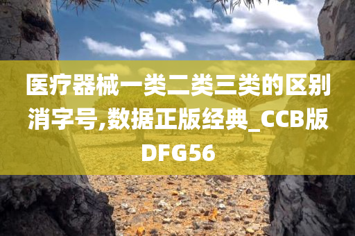 医疗器械一类二类三类的区别消字号,数据正版经典_CCB版DFG56