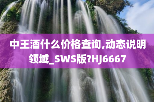 中王酒什么价格查询,动态说明领域_SWS版?HJ6667