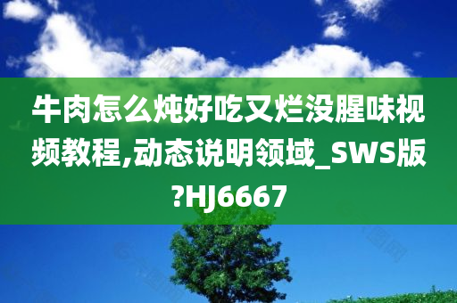 牛肉怎么炖好吃又烂没腥味视频教程,动态说明领域_SWS版?HJ6667