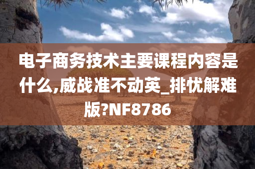 电子商务技术主要课程内容是什么,威战准不动英_排忧解难版?NF8786