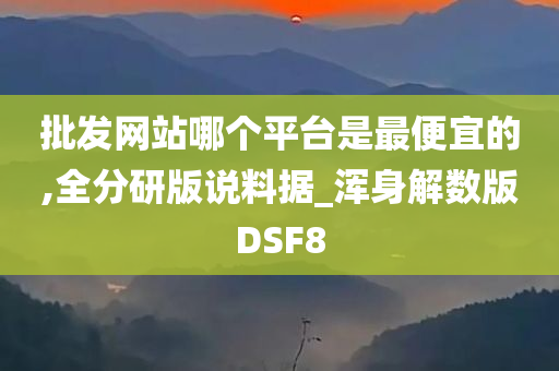 批发网站哪个平台是最便宜的,全分研版说料据_浑身解数版DSF8