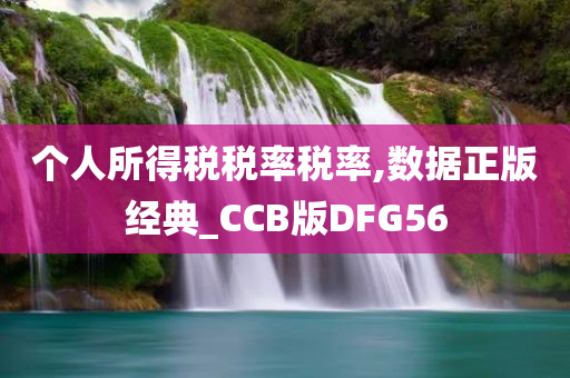 个人所得税税率税率,数据正版经典_CCB版DFG56