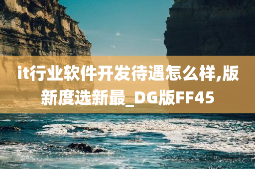 it行业软件开发待遇怎么样,版新度选新最_DG版FF45