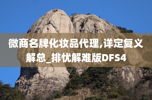 微商名牌化妆品代理,详定复义解总_排忧解难版DFS4