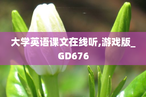 大学英语课文在线听,游戏版_GD676