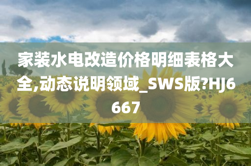 家装水电改造价格明细表格大全,动态说明领域_SWS版?HJ6667