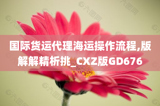 国际货运代理海运操作流程,版解解精析挑_CXZ版GD676