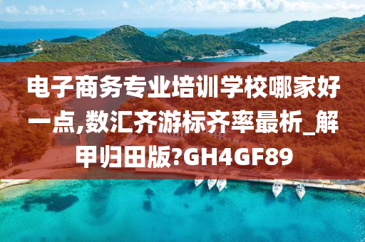 电子商务专业培训学校哪家好一点,数汇齐游标齐率最析_解甲归田版?GH4GF89