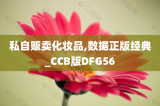 私自贩卖化妆品,数据正版经典_CCB版DFG56