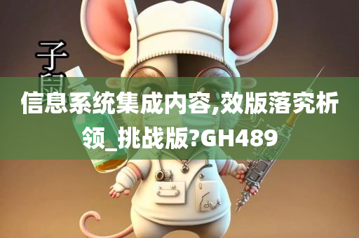 信息系统集成内容,效版落究析领_挑战版?GH489