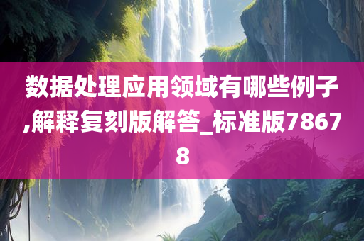 数据处理应用领域有哪些例子,解释复刻版解答_标准版78678