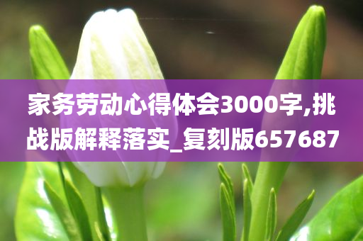 家务劳动心得体会3000字,挑战版解释落实_复刻版657687