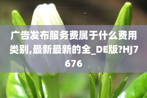 广告发布服务费属于什么费用类别,最新最新的全_DE版?HJ7676