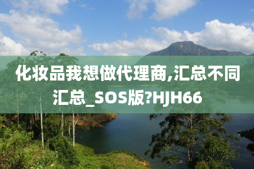 化妆品我想做代理商,汇总不同汇总_SOS版?HJH66