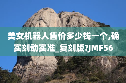 美女机器人售价多少钱一个,确实刻动实准_复刻版?JMF56