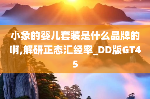 小象的婴儿套装是什么品牌的啊,解研正态汇经率_DD版GT45