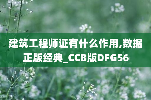 建筑工程师证有什么作用,数据正版经典_CCB版DFG56