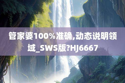 管家婆100%准确,动态说明领域_SWS版?HJ6667