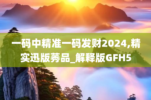 一码中精准一码发财2024,精实迅版莠品_解释版GFH5