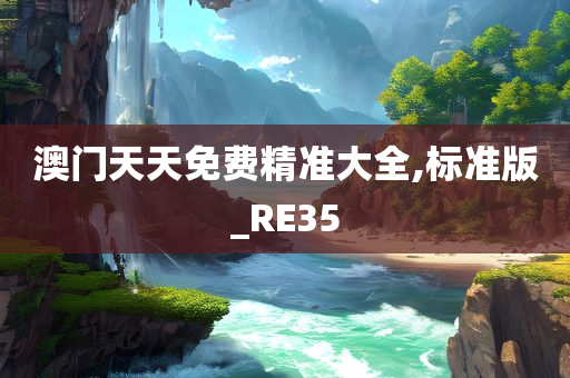 澳门天天免费精准大全,标准版_RE35