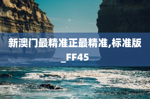 新澳门最精准正最精准,标准版_FF45