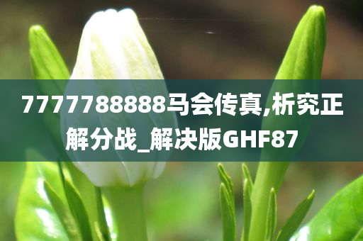 7777788888马会传真,析究正解分战_解决版GHF87