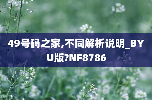 49号码之家,不同解析说明_BYU版?NF8786