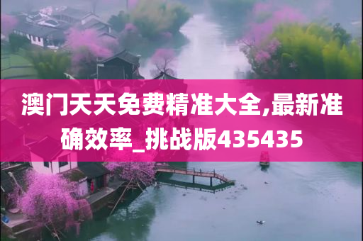 澳门天天免费精准大全,最新准确效率_挑战版435435