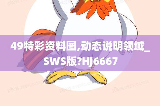 49特彩资料图,动态说明领域_SWS版?HJ6667