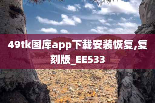 49tk图库app下载安装恢复,复刻版_EE533