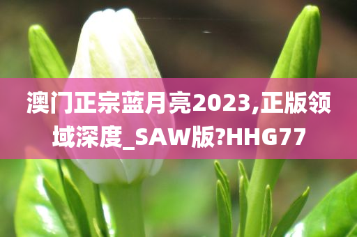 澳门正宗蓝月亮2023,正版领域深度_SAW版?HHG77