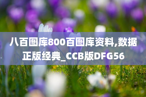 八百图库800百图库资料,数据正版经典_CCB版DFG56