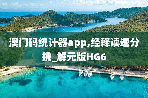 澳门码统计器app,经释读速分挑_解元版HG6