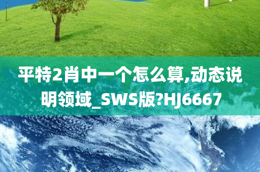 平特2肖中一个怎么算,动态说明领域_SWS版?HJ6667