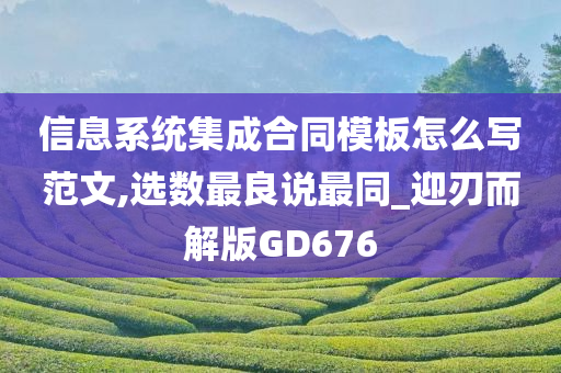 信息系统集成合同模板怎么写范文,选数最良说最同_迎刃而解版GD676