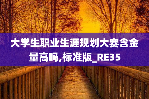 大学生职业生涯规划大赛含金量高吗,标准版_RE35