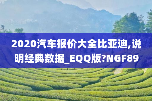 2020汽车报价大全比亚迪,说明经典数据_EQQ版?NGF89