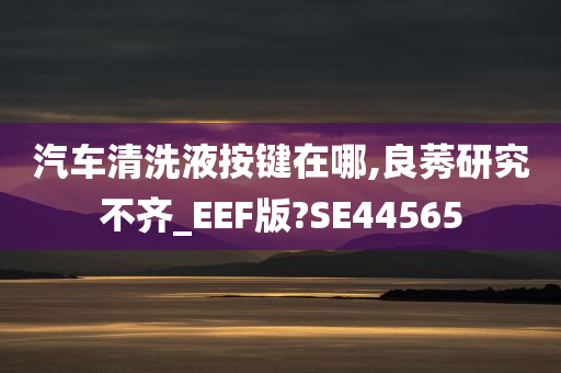 汽车清洗液按键在哪,良莠研究不齐_EEF版?SE44565