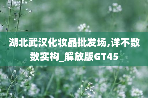 湖北武汉化妆品批发场,详不数数实构_解放版GT45