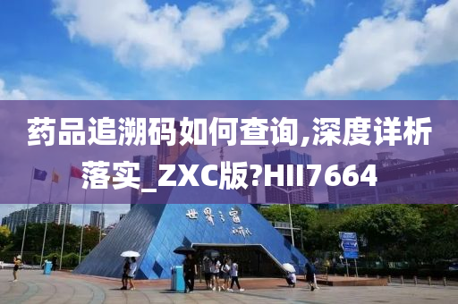 药品追溯码如何查询,深度详析落实_ZXC版?HII7664