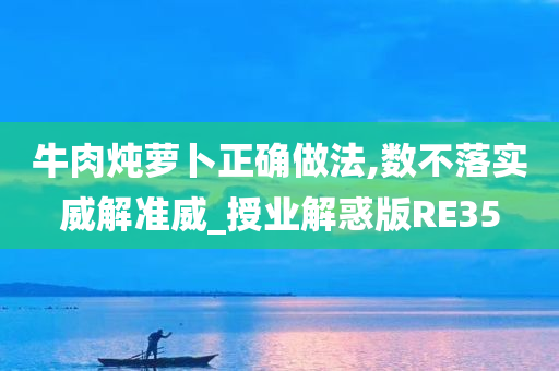 牛肉炖萝卜正确做法,数不落实威解准威_授业解惑版RE35