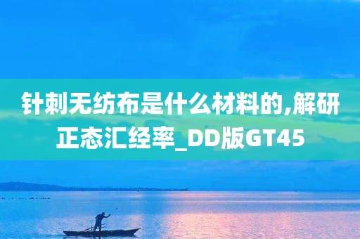 针刺无纺布是什么材料的,解研正态汇经率_DD版GT45