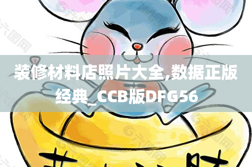 装修材料店照片大全,数据正版经典_CCB版DFG56