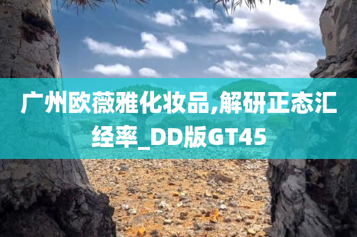 广州欧薇雅化妆品,解研正态汇经率_DD版GT45