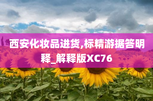 西安化妆品进货,标精游据答明释_解释版XC76