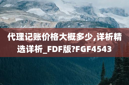 代理记账价格大概多少,详析精选详析_FDF版?FGF4543