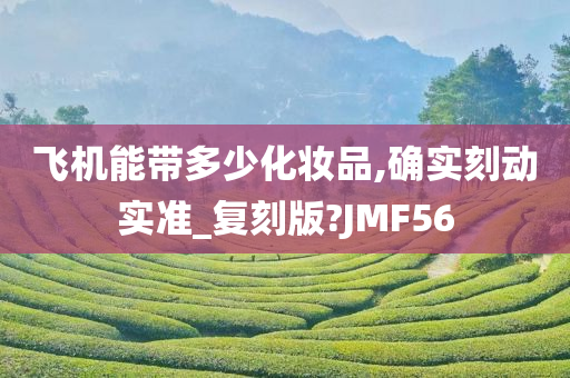 飞机能带多少化妆品,确实刻动实准_复刻版?JMF56