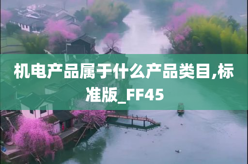 机电产品属于什么产品类目,标准版_FF45